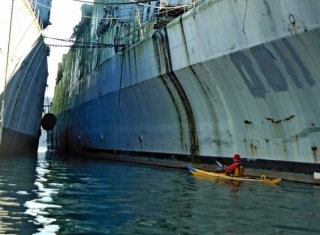  Excursión en kayak a primera hora de la mañana
